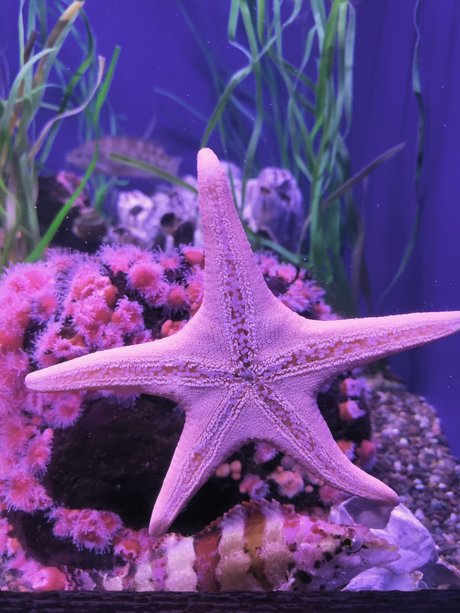 creampie asian onlyfans sexy naked image