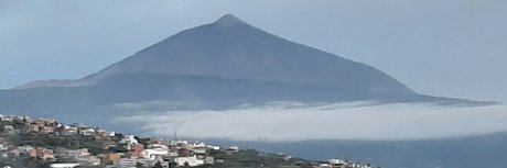 _Monoso_ star nude img