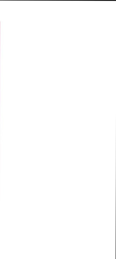 _KING DOM TOP_ pornstar art pictures