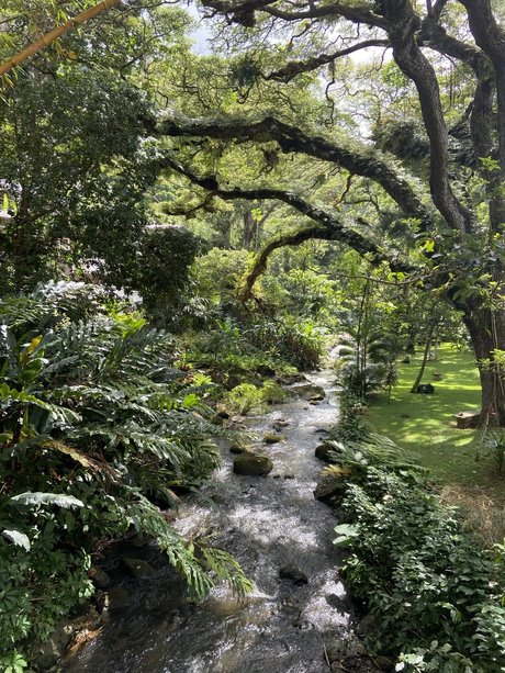 Kaelyn Michelle_ pornstar beautiful pics