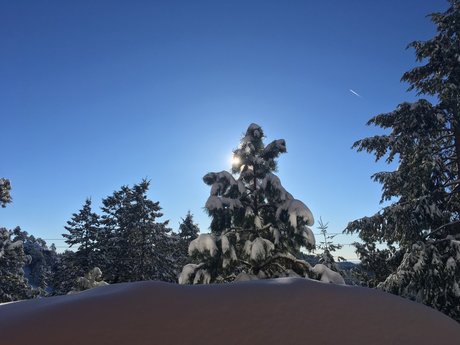 Nate Oakley nude star gallery