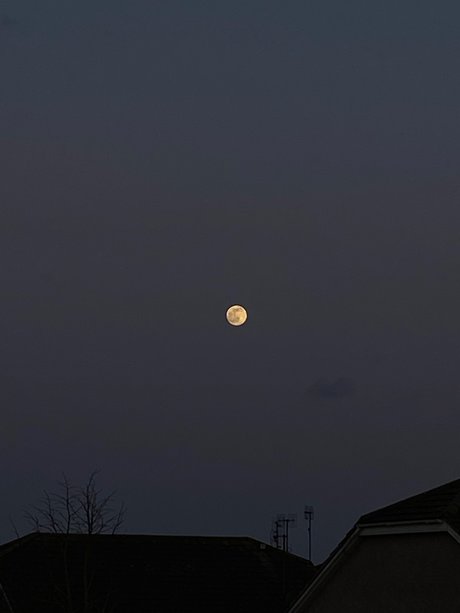 Must be nice naked pornstar image