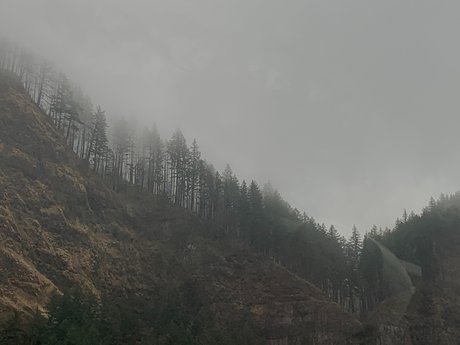 Lola and ty_ top profile image