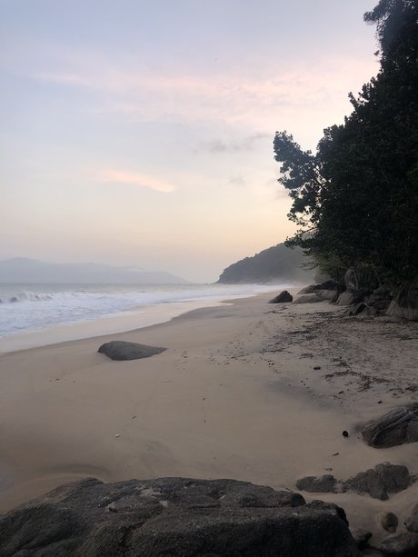 Mir mir star high quality gallery