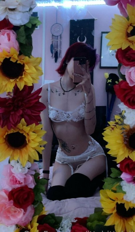 ittybittyloli star nude image