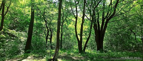 naked yoga onlyfans free naked pics