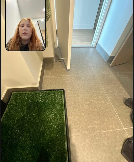 bbc pregnant onlyfans best images