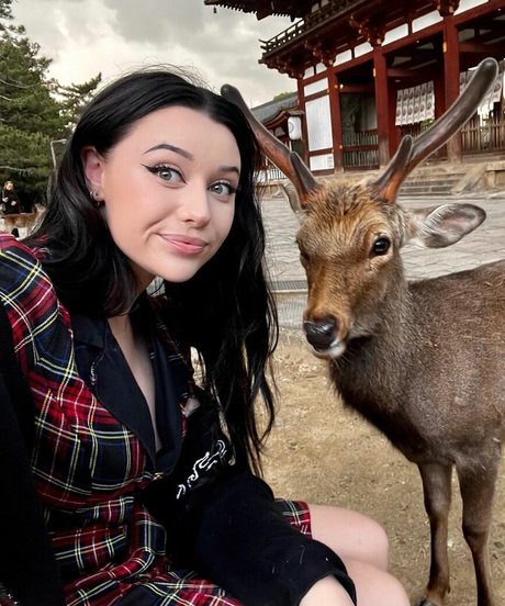 LivBev beautiful model archive