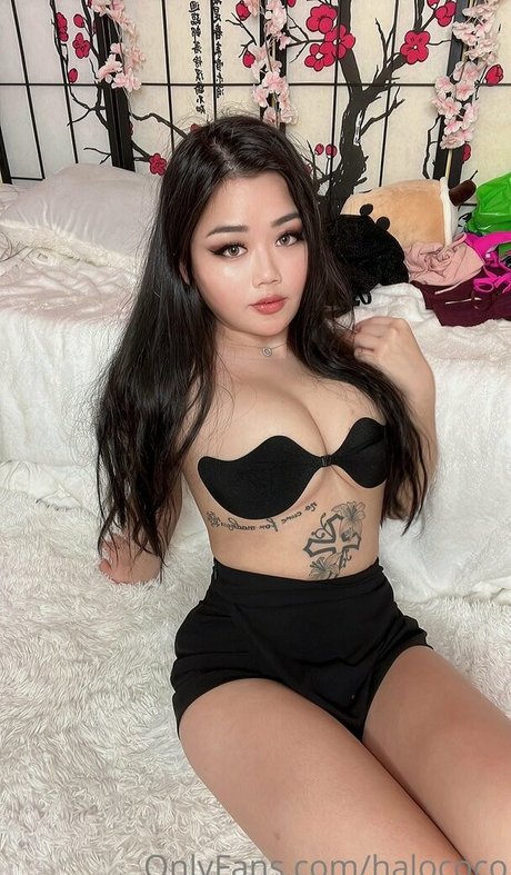 halococo star art galleries