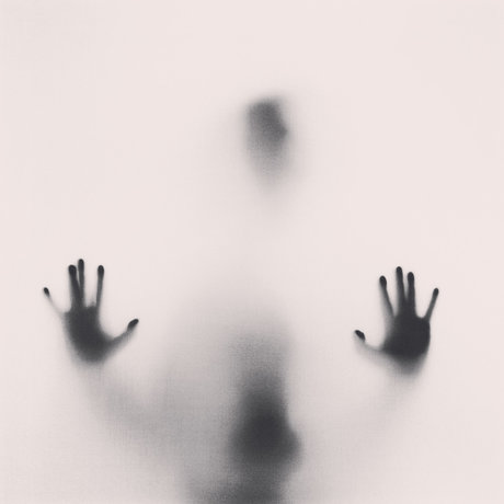 Dunkin Dave perfect star gallery