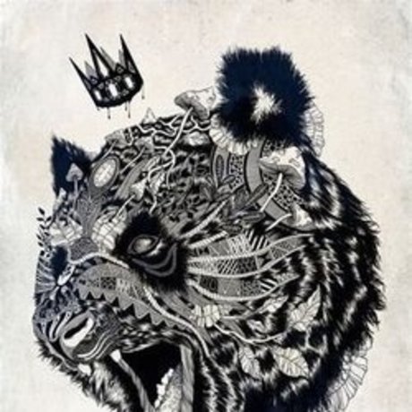 The1KingPanda xxx star galleries