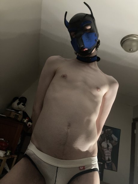 Archie the Pup pornographic actress photo