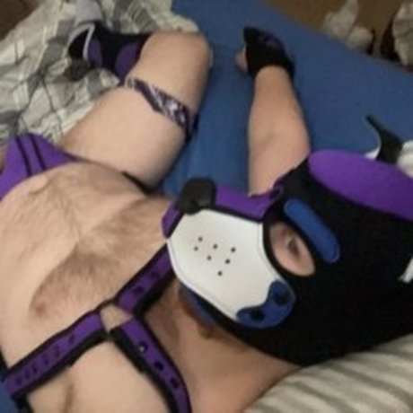 Pup Jagd pornstar free img