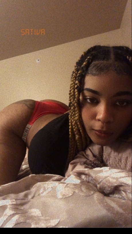 EXOTIC Paper Chasin BARB_ adult star pics