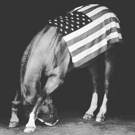 Rebel Country2002 nudes pornstar galleries