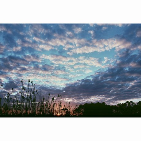 _Rayne_ top pornstar pictures