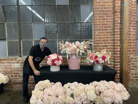 MarckoEvents perfect star gallery