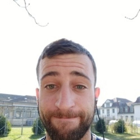 Nico Martello star high quality picture