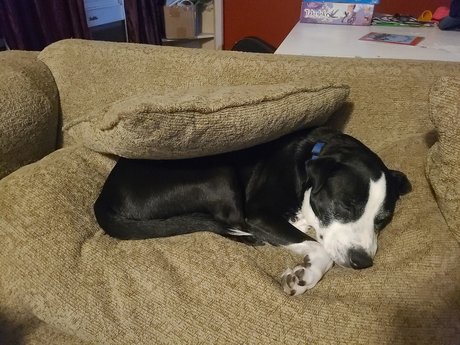 MarriedinLawrence pretty model images