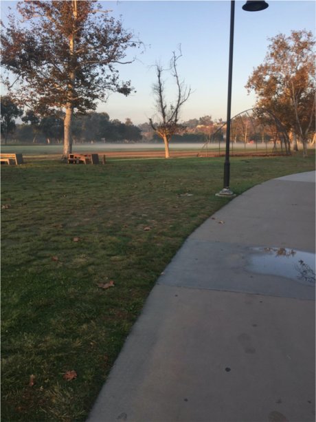 Pegasus nudes actress photo