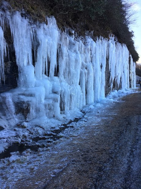 maricella03 star high quality gallery