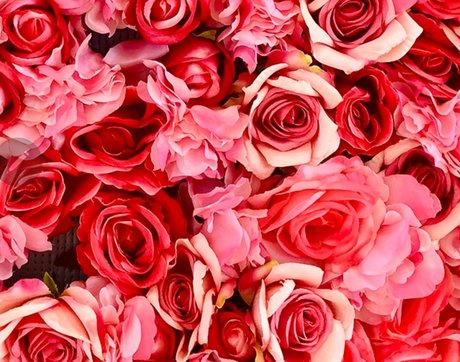 Bangin Blair xxx pornstar pic