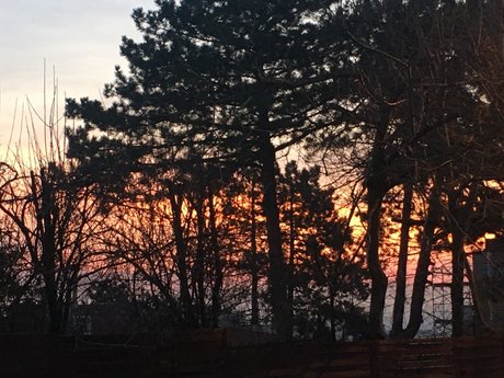 Matthiek model sex pictures