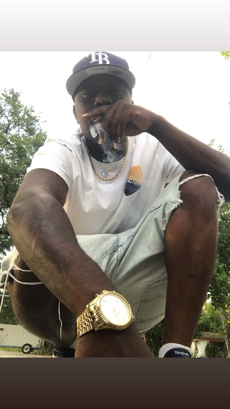 BeetlesX3 model top photo