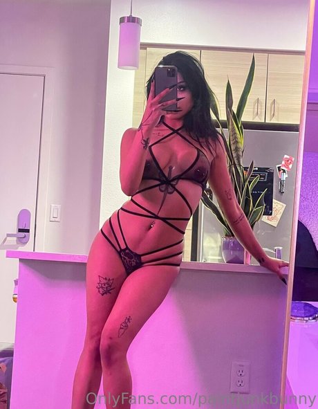 PaintJunkHunny actress pic