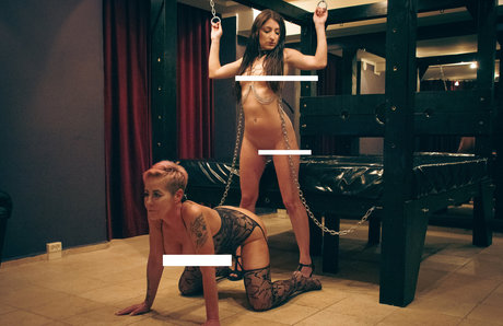 upperfloor pornstar picture