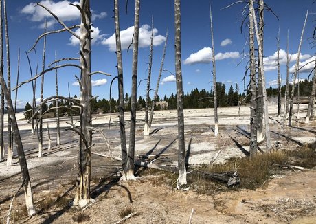 skinny black teen onlyfans sexy naked photos