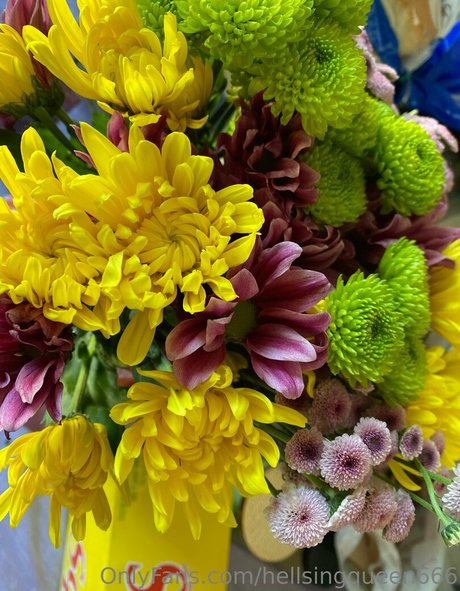 hellsingqueen666 sex star galleries