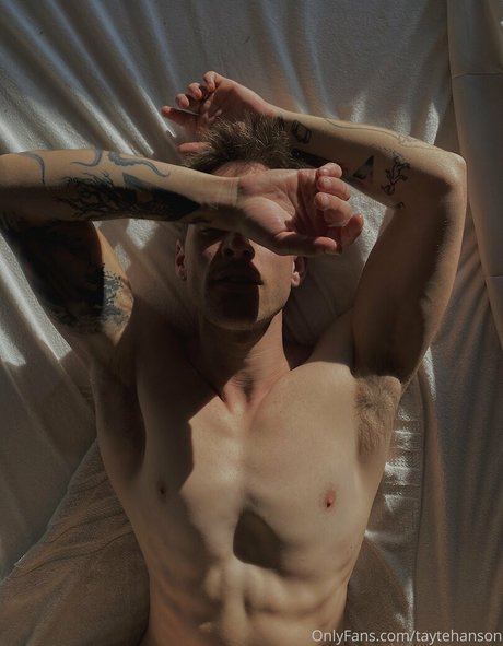 taytehanson star beautiful galleries