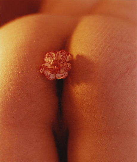 taytehanson model high quality photo