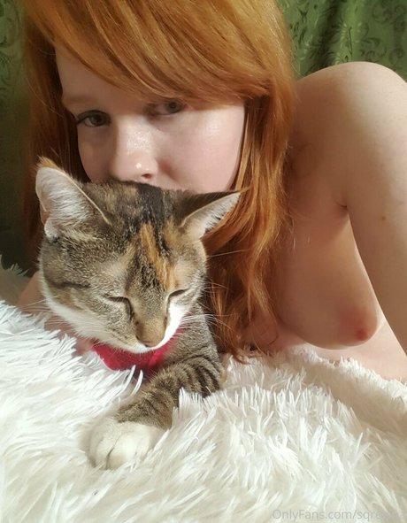 sqregina pornstar adult images