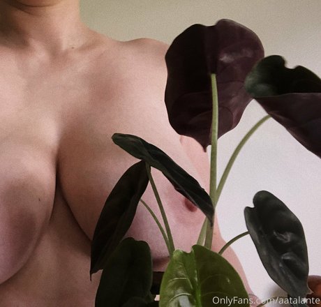 bodybuilder male onlyfans hot porn galleries