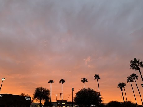 NZArector star exclusive photos