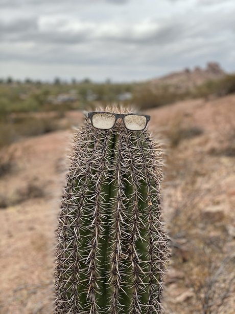 Only D pornographic star picture