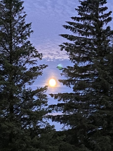 Alexander Bach star exclusive archive