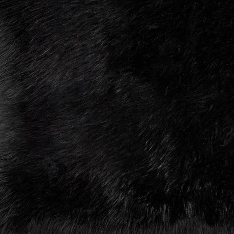 curvy lesbian onlyfans hot sexy photos