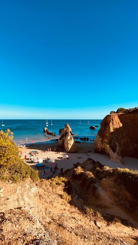 Miguel Matos art actress photo