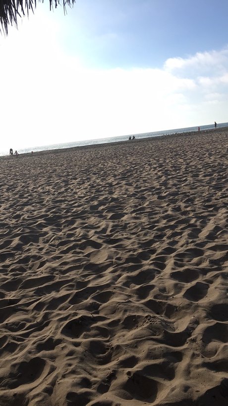 Mr Random pornstar images