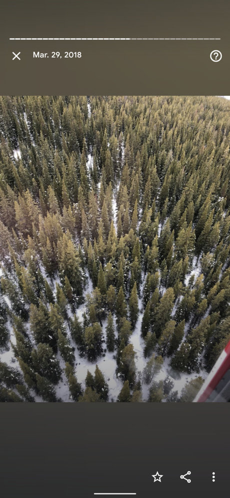 Michelle Lynn pornstar xxx pictures