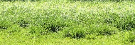 Bigwill nude actress pics