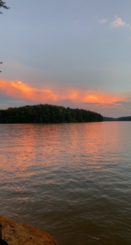 MissBehavior pornstar exclusive galleries