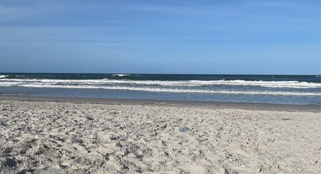 Kenn Mintz pornographic star picture