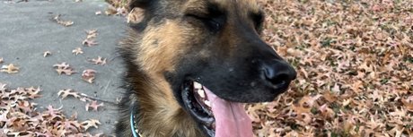 aerie_ adult model pic