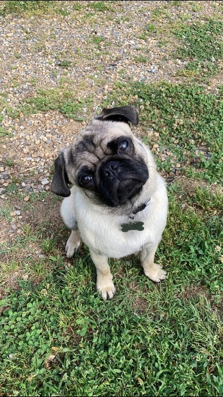 hisreverie model hd photo