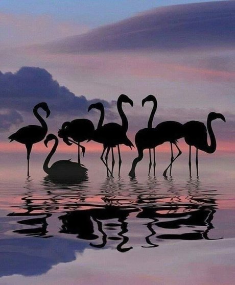 Chrissy G beautiful actress pictures