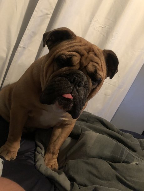 latina teen pussy onlyfans pornos pictures